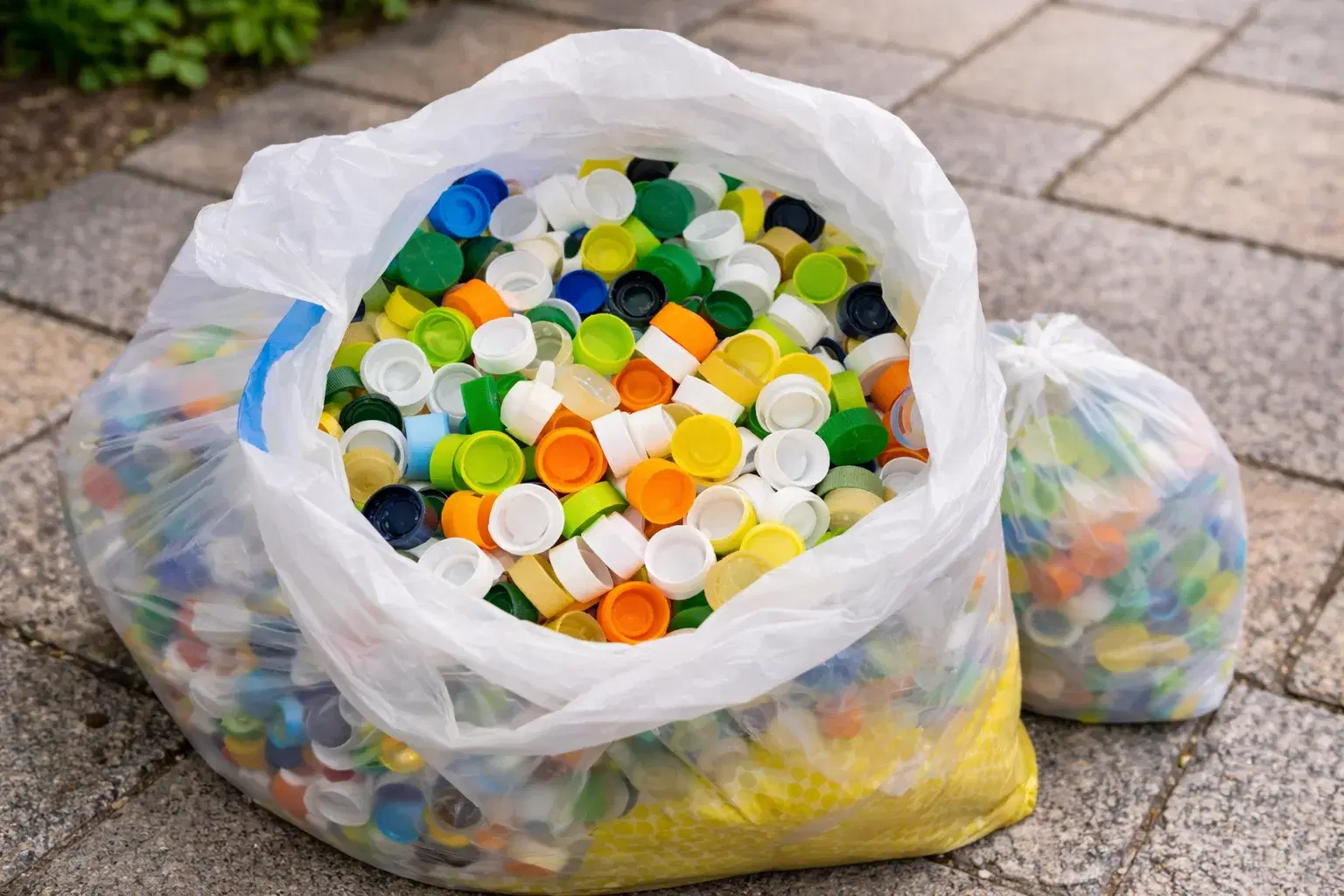ペットボトルキャップ回収