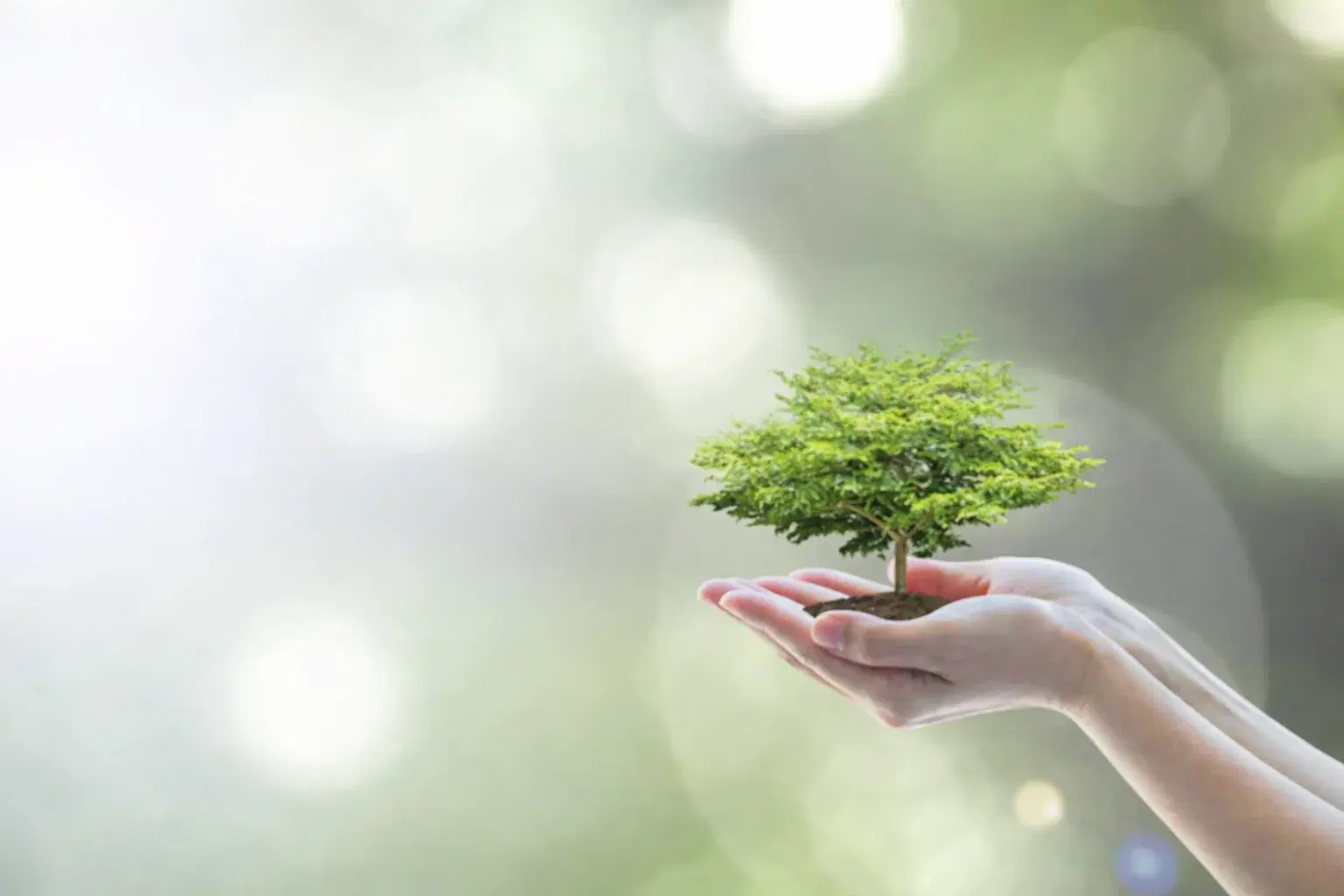 周辺環境への影響を抑えた処分場運営